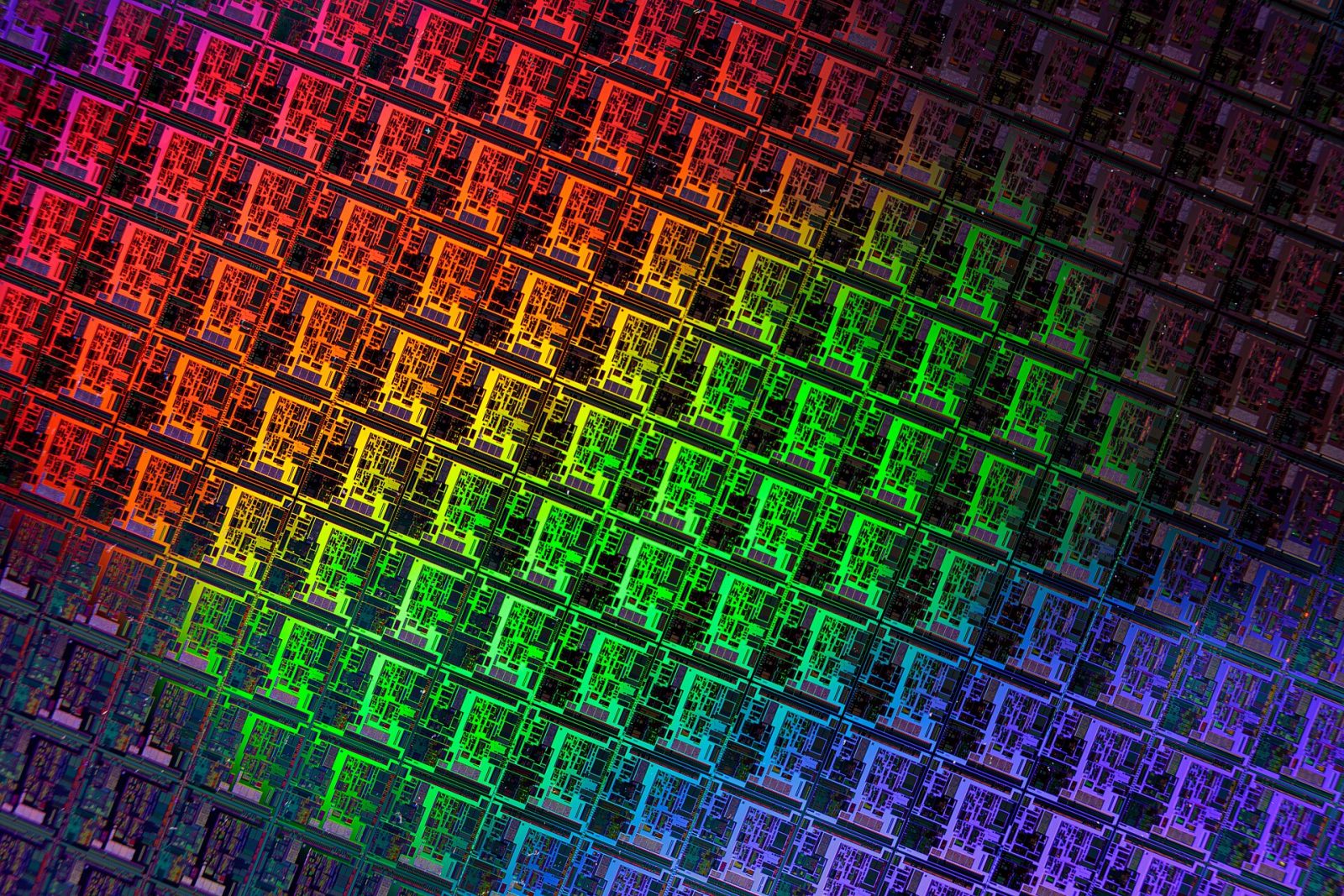 A silicon wafer patterned with chips